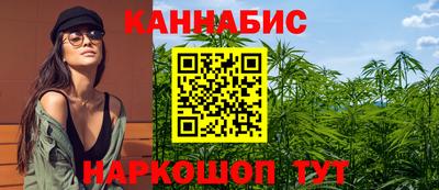 сатива Боровичи