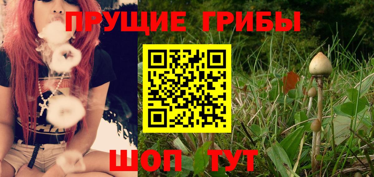 Галлюциногенные грибы Magic Shrooms  Вход с VPN  Карачаевск 