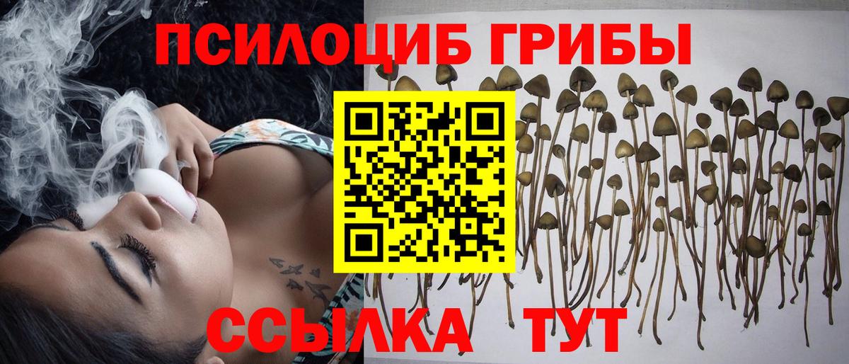 COCAIN  Марихуана  МЕФ кристаллы  Alpha-PVP СК кристаллы  ЭКСТАЗИ  Вход с VPN  Вейп ТГК  Карачаевск  Гашиш  МЕТАМФЕТАМИН 