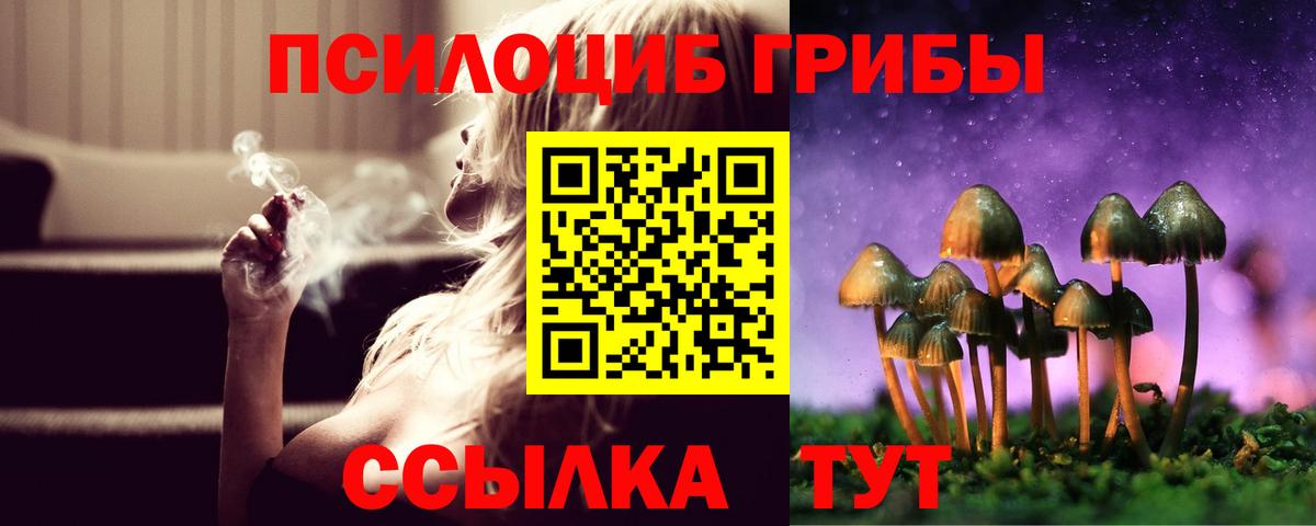 Псилоцибиновые грибы Psilocybine cubensis Карачаевск